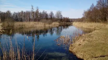 Kolejne inwestycje na Mazurach. Udrożnienie Kanału Śniardwy-Roś i przebudowa jazu w Kwiku