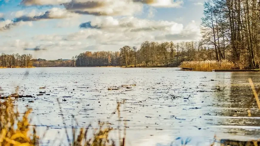 Zdjęcie poglądowe.