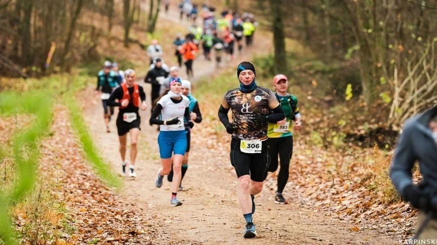 Zdjęcie poglądowe.