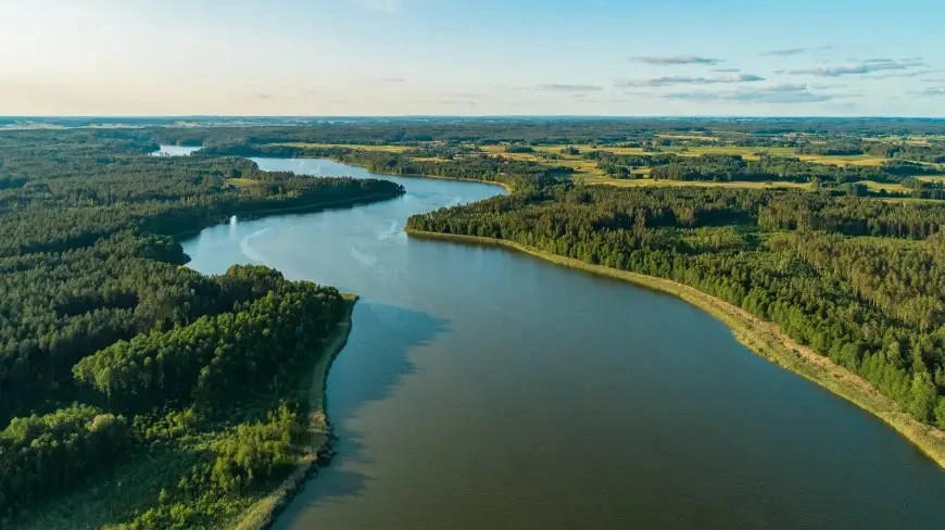 Zdjęcie poglądowe.