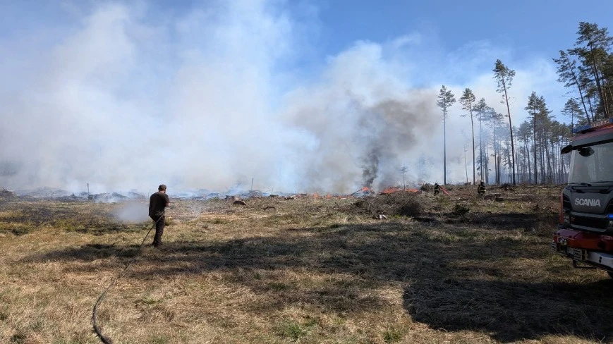 Lasy na Mazurach zagrożone pożarami. Dramatyczna akcja w Puszczy Piskiej