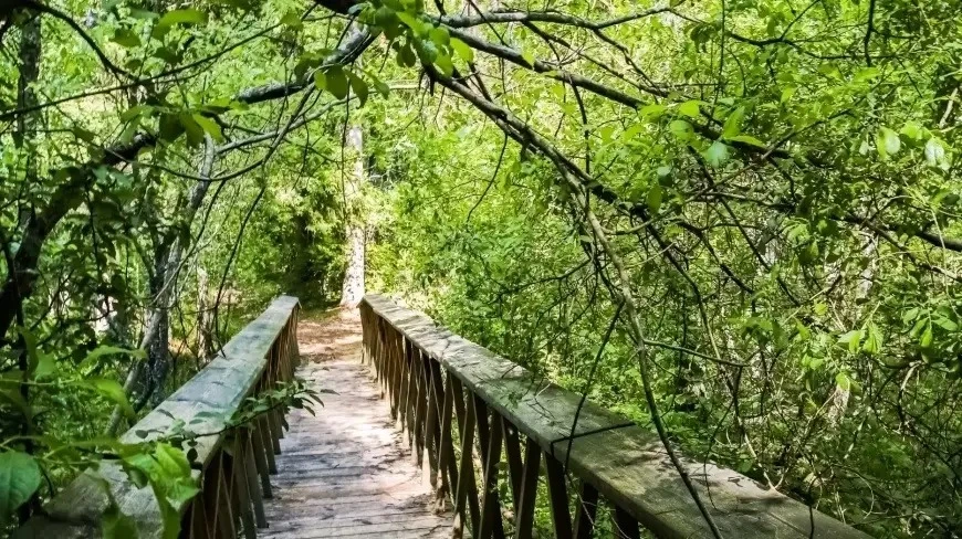 Mazury mniej znane. Spacer śladem „Zakochanej Pary” i mięsożernych roślin