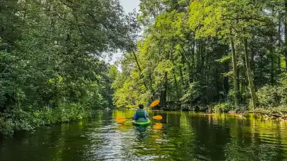 Spływy Kajakowe As-TOUR - zdjęcie 43