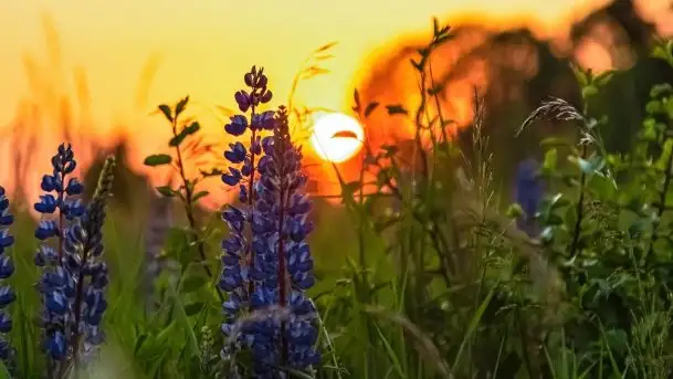 Zachód słońca w okolicach wsi Ublik