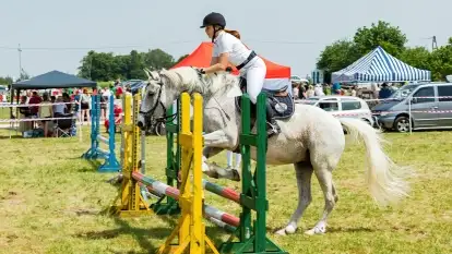 Sulimiada 2022, zobacz naszą fotorelację