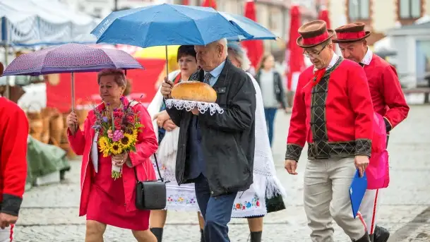Fotorelacja z dożynek Gminnych w Piszu, Piknik Wołowy
