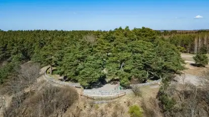 Cmentarz wojenny Jagerhohe i jezioro Święcajty na początku wiosny, 2022