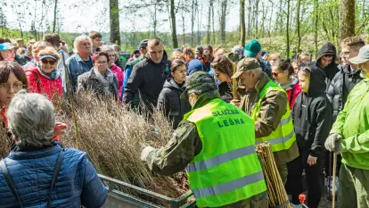 Przy Wilczym Szańcu posadzono 5000 dębów