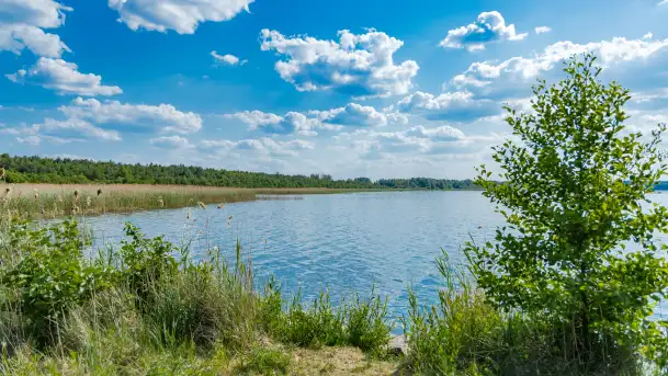 Jezioro Seksty i okolice kanału Jeglińskiego, czerwiec 2023 r.