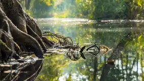 Piękno Sapiny w okolicach Pozezdrza, wrzesień 2023 r. - zdjęcie 12