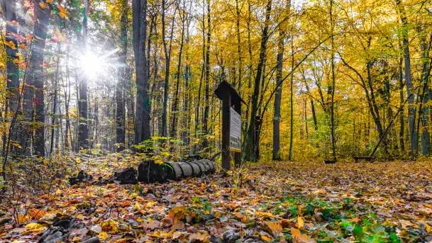 Złota mazurska jesień w Mrągowie nad jeziorem Juno - zdjęcie 4