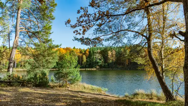 Magia mazurskiej jesieni nad jeziorem Wesołek, listopad 2023 r.