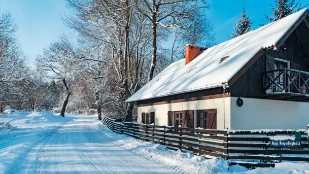 Zima nad jeziorem Dziewiszewskie w Dziewiszowie, styczeń 2024 r.