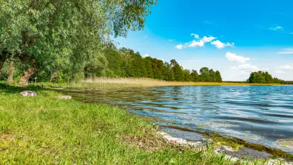 Plaża nad jeziorem Rydzówka pod koniec maja 2024 r.