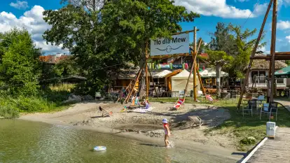 Tło dla Mew, sezon 2024 r.