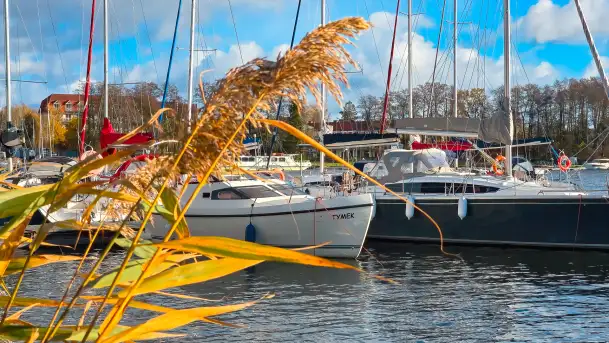 Stranda na początku listopada 2024 r.