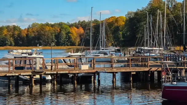 Łabędzi Ostrów w Pięknej Górze w połowie października 2024