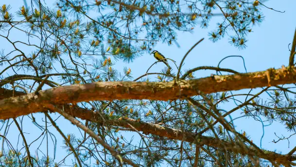 Wiosna w Kętrzynie, maj 2021 r. - zdjęcie 10