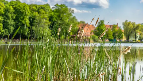 Wiosna w Kętrzynie, maj 2021 r. - zdjęcie 4