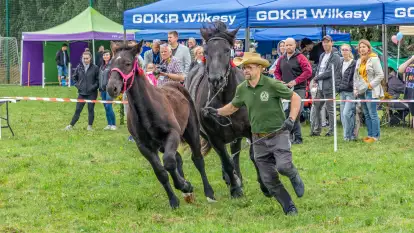 Sulimiada 2025 – przegląd źrebiąt i rodzinny piknik w Sulimach