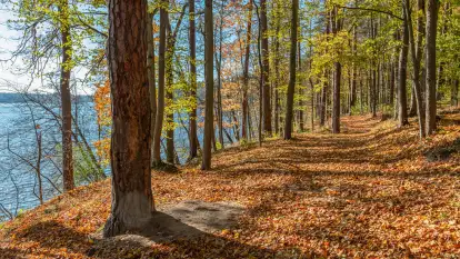 Jesień nad jeziorem Nidzkim, port i ośrodek Wodnik, Ruciane-Nida, październik 2025 r.