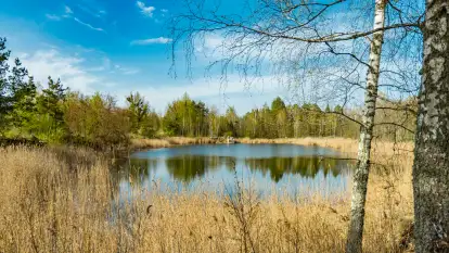 Niewielkie jezioro niedaleko śluzy Długopole, kwiecień 2025 r.