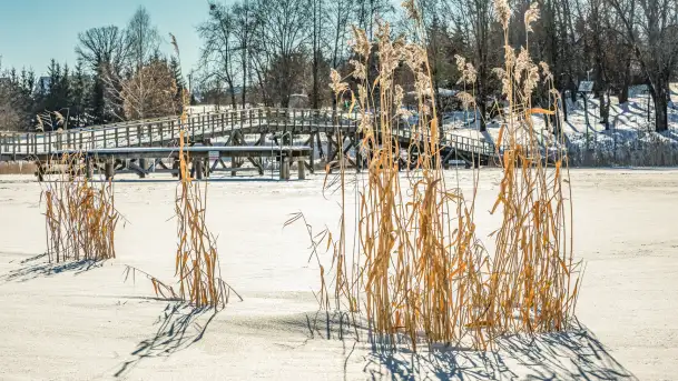 Wydminy i most garbaty w okowach mazurskiej zimy, luty 2026 r. - zdjęcie 3