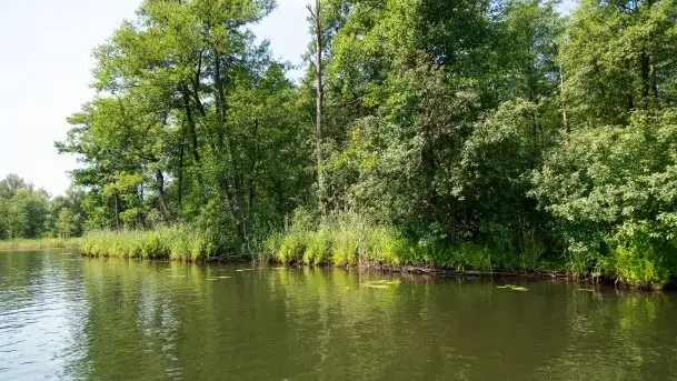 Zdjęcia: Malowniczy szlak wodny z Węgorzewa na Mamry - zdjęcie 9