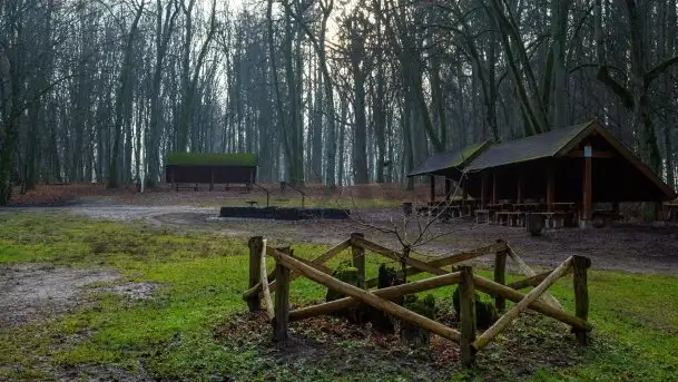 Las miejski w Giżycku, styczeń 2020