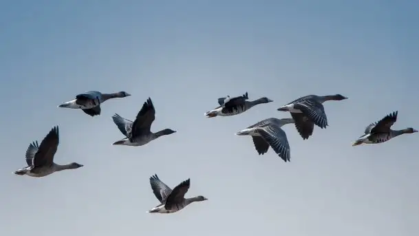 Wiosna w lutym na zdjęciach Stanisława Sielewicza - zdjęcie 6