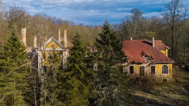 Ruiny Pałacu w Mieduniszkach Wielkich - zdjęcie 2