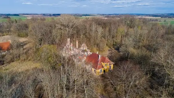 Ruiny Pałacu w Mieduniszkach Wielkich - zdjęcie 3