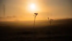 Wschód słońca w Giżycku, ul. Obwodowa - zdjęcie 5