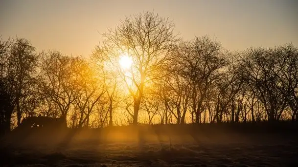 Wschód słońca w Giżycku, ul. Obwodowa