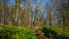 Zdjęcia: Pałac w Skandławkach – do kupienia romantyczna pozostałość dawnych Mazur - zdjęcie 12