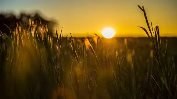 Zachód słońca widoczny z Grodzisko Święta Góra