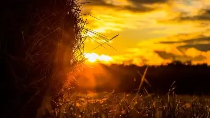 Zachód słońca nad mazurskimi polami, okolice wsi Sulimy