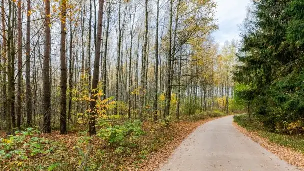 Późno jesienne klimaty gdy wieje i chłód doskwiera przy jeziorze Dargin