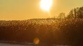 Bojery na jeziorze Dargin 2021 cz. 2 - zdjęcie 12