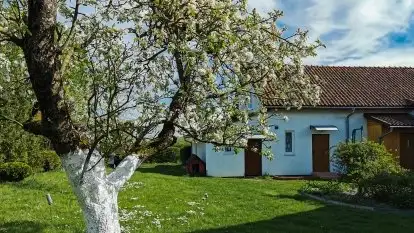 Dom całoroczny u Zofii w Rynie - zdjęcie 10