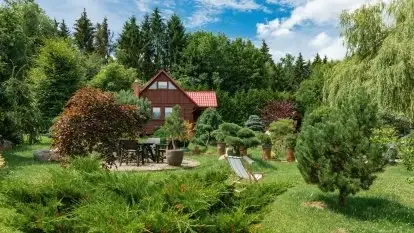 Nowa galeria - zdjęcie 89