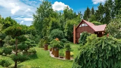 Nowa galeria - zdjęcie 90