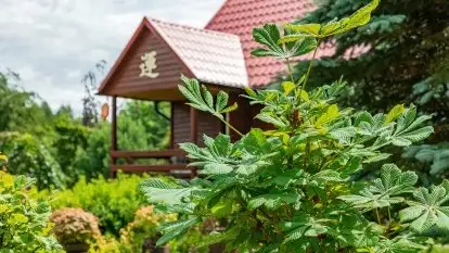 Nowa galeria - zdjęcie 61