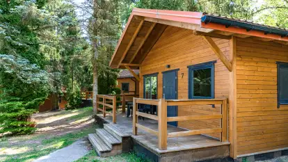 Ośrodek Wypoczynkowy Łabędzi Ostrów - zdjęcie 11