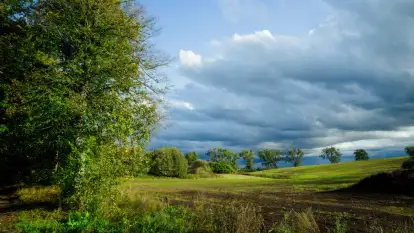 Dworzec Cesarza Wilhelma - zdjęcie 28