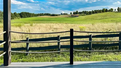 Oazie Żuraw - zdjęcie 12