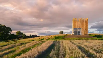 Dom w zbożu - zdjęcie 1