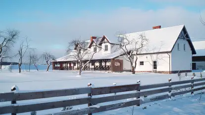 Siedlisko Sabinowo - zdjęcie 41