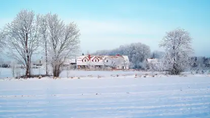 Siedlisko Sabinowo - zdjęcie 42