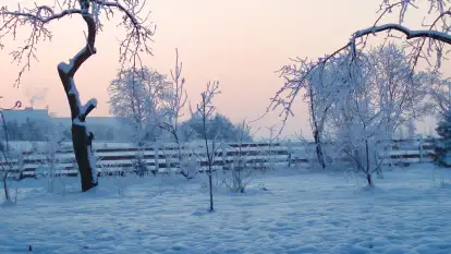 Siedlisko Sabinowo - zdjęcie 43